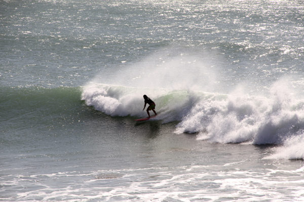 Tom-Mid-Length-Surfboard