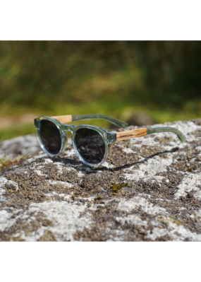 Dewerstone Gili Polarized Sunglasses in green fade on a rock