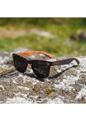 Dewerstone Roamer Polarized Sunglasses Brown Marble on a rock